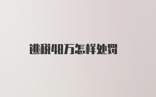 逃税48万怎样处罚