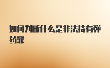 如何判断什么是非法持有弹药罪