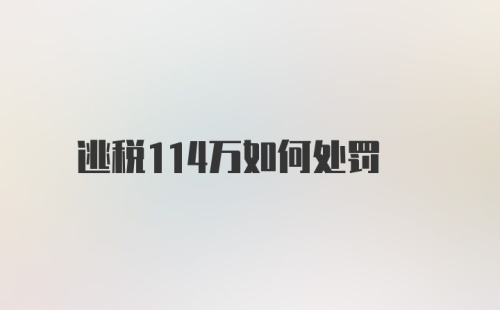 逃税114万如何处罚