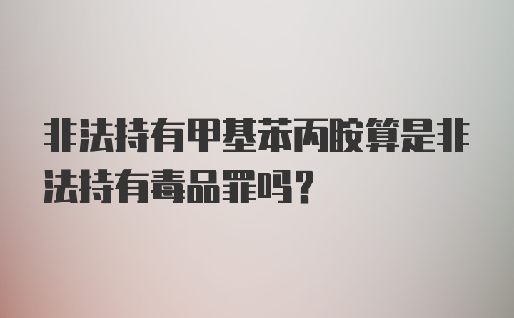 非法持有甲基苯丙胺算是非法持有毒品罪吗？