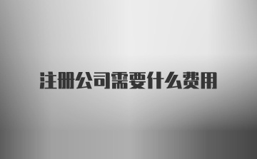 注册公司需要什么费用