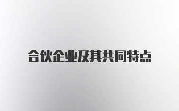 合伙企业及其共同特点