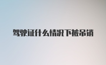 驾驶证什么情况下被吊销