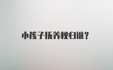 小孩子抚养权归谁？