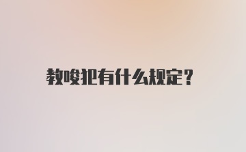 教唆犯有什么规定?