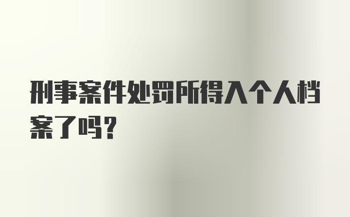 刑事案件处罚所得入个人档案了吗?