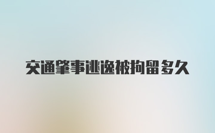 交通肇事逃逸被拘留多久