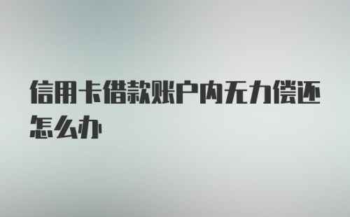 信用卡借款账户内无力偿还怎么办