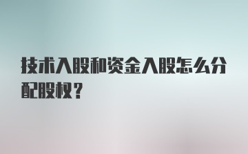 技术入股和资金入股怎么分配股权？