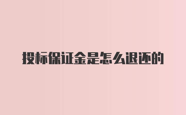 投标保证金是怎么退还的