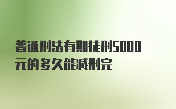 普通刑法有期徒刑5000元的多久能减刑完