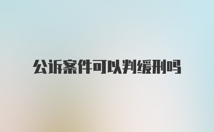 公诉案件可以判缓刑吗