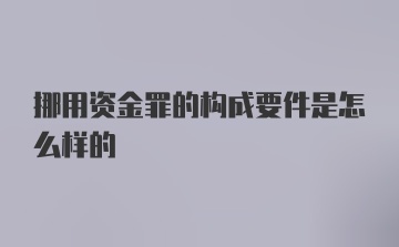 挪用资金罪的构成要件是怎么样的