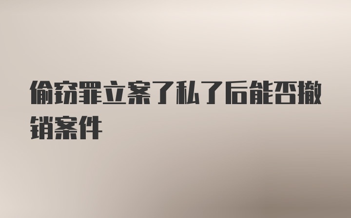 偷窃罪立案了私了后能否撤销案件