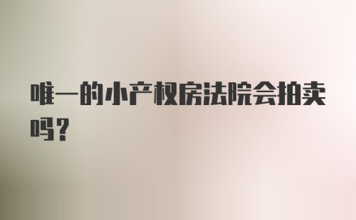 唯一的小产权房法院会拍卖吗?