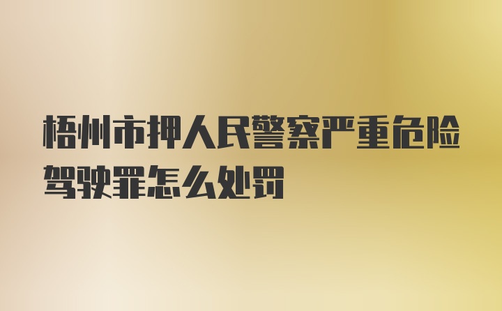 梧州市押人民警察严重危险驾驶罪怎么处罚