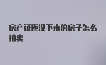 房产证还没下来的房子怎么拍卖