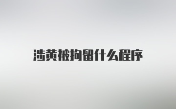 涉黄被拘留什么程序