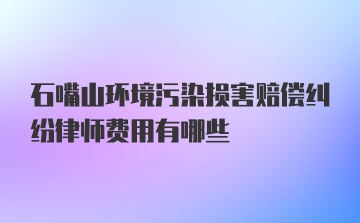 石嘴山环境污染损害赔偿纠纷律师费用有哪些