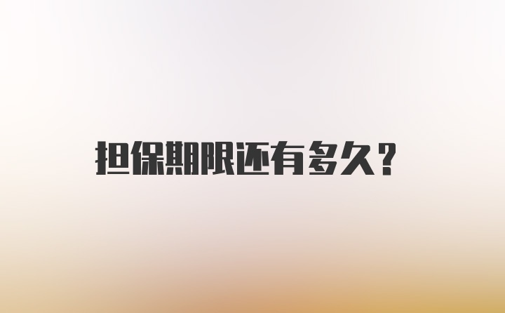 担保期限还有多久?