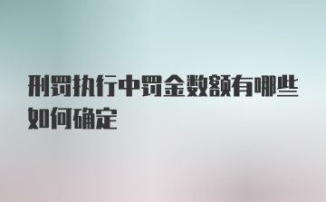 刑罚执行中罚金数额有哪些如何确定