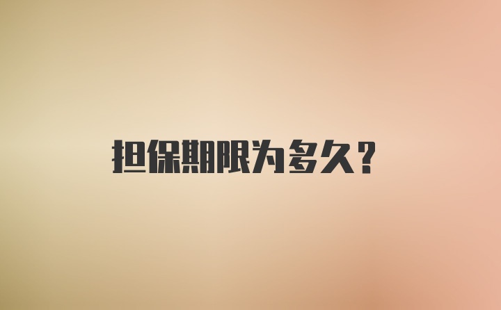 担保期限为多久？