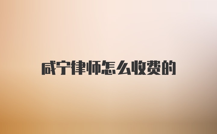 咸宁律师怎么收费的