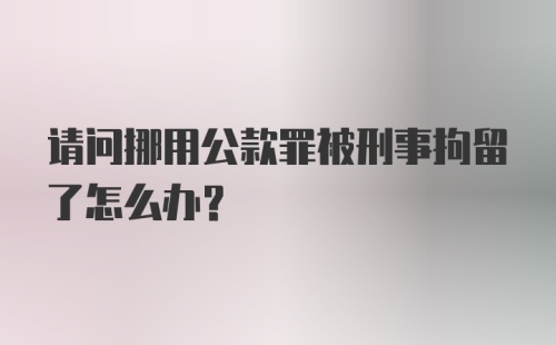 请问挪用公款罪被刑事拘留了怎么办？