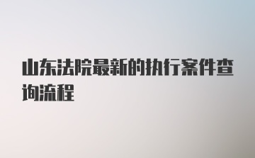 山东法院最新的执行案件查询流程