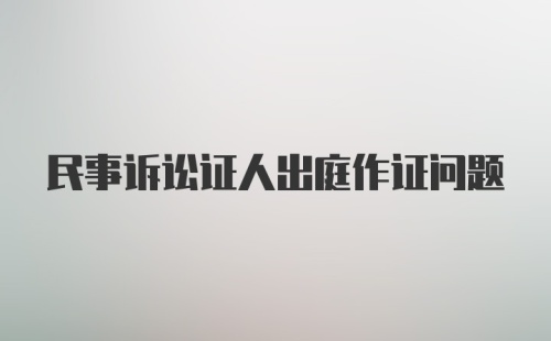 民事诉讼证人出庭作证问题