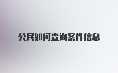 公民如何查询案件信息