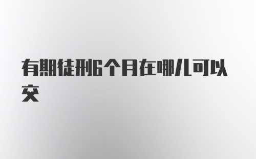 有期徒刑6个月在哪儿可以交