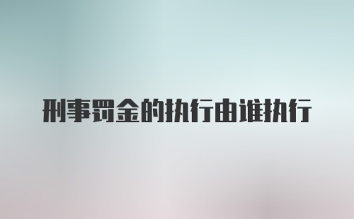 刑事罚金的执行由谁执行