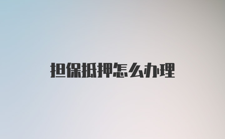 担保抵押怎么办理