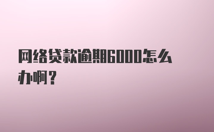 网络贷款逾期6000怎么办啊？