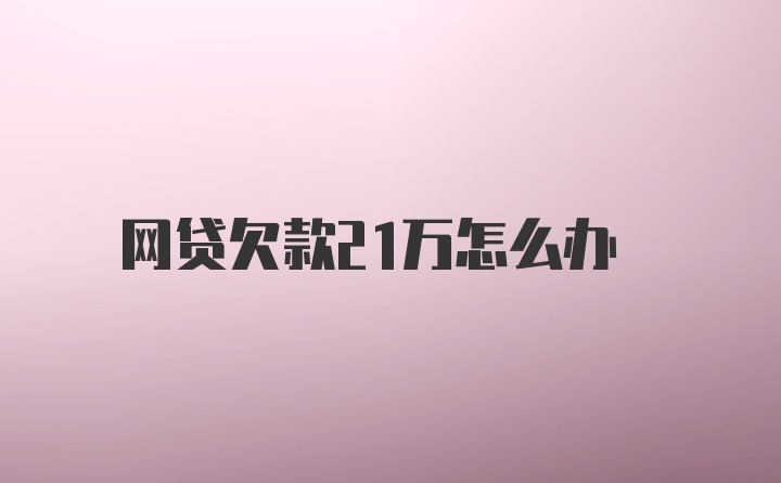 网贷欠款21万怎么办