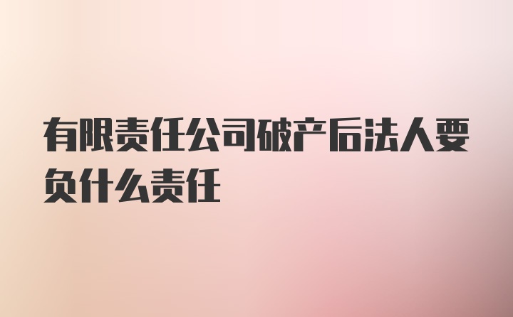 有限责任公司破产后法人要负什么责任