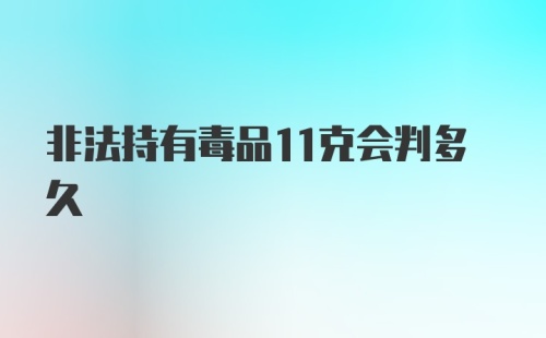 非法持有毒品11克会判多久