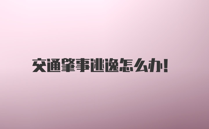 交通肇事逃逸怎么办！