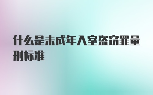 什么是未成年入室盗窃罪量刑标准