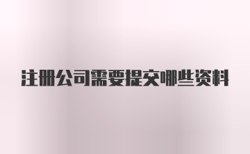 注册公司需要提交哪些资料