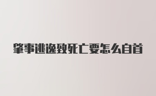 肇事逃逸致死亡要怎么自首