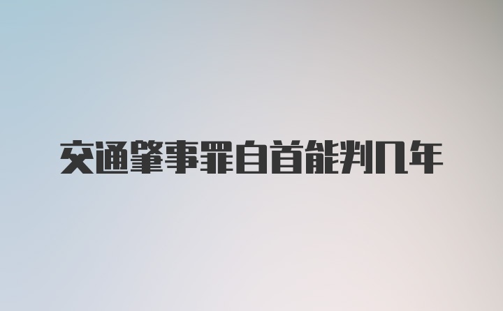 交通肇事罪自首能判几年