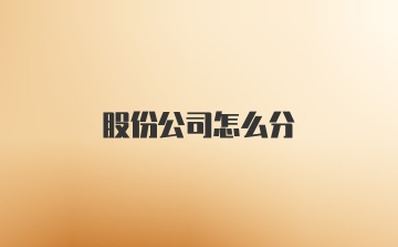 股份公司怎么分