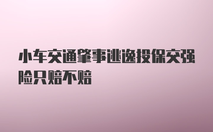 小车交通肇事逃逸投保交强险只赔不赔