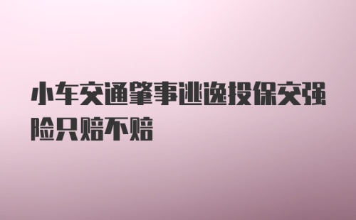 小车交通肇事逃逸投保交强险只赔不赔