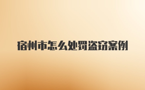 宿州市怎么处罚盗窃案例