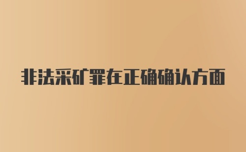 非法采矿罪在正确确认方面