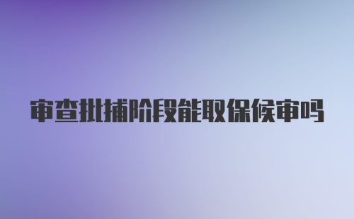 审查批捕阶段能取保候审吗