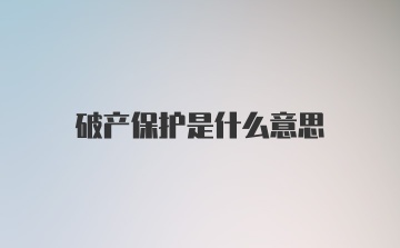 破产保护是什么意思